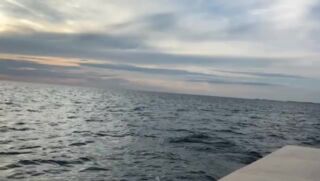 Enjoy this moment 😍🐬❤️  #brijuni #brijuninationalpark #brijuniislands #adriaticcoast #adriatic_travel #adriaticsea #adriatic #galiolaboat #adventure #boatlife #boat #sunset #sunsetphotography #sunsetlover #sunsets #sunsetmadness #dolphins #dolphinwatching #croatiatravel #croatiatrip #croatia #croatia_lovers #croatiafulloflife